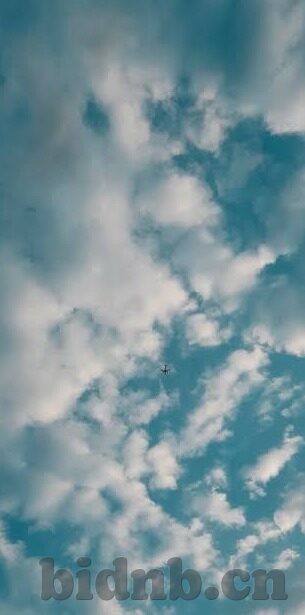 236伦理韩剧-236伦理韩剧，情感与道德的细腻交织