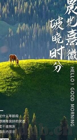 糖心vlog破解版在线看-网罗网络新奇，无拘无束地探索「糖心vlog」的多元世界